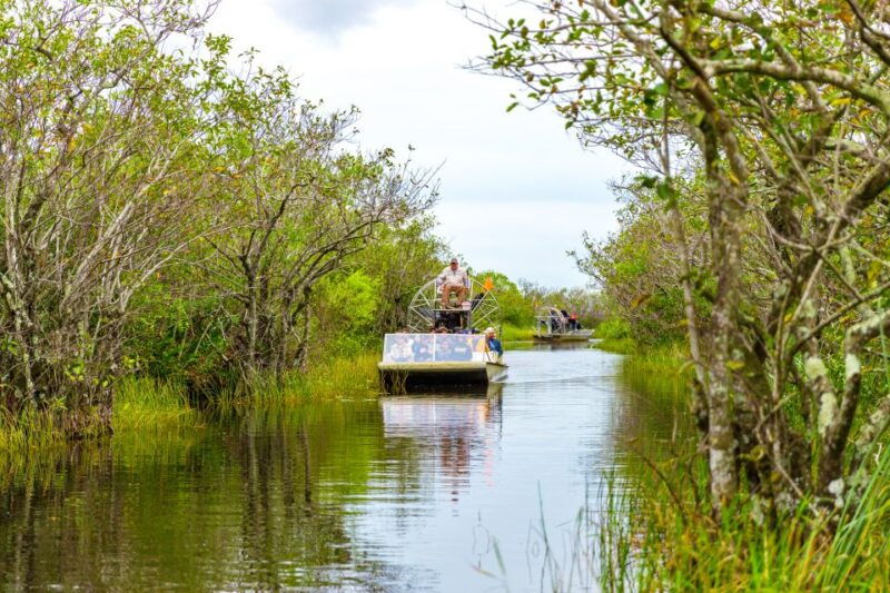 from-miami-everglades-wildlife-show-airboat-bus-transfer