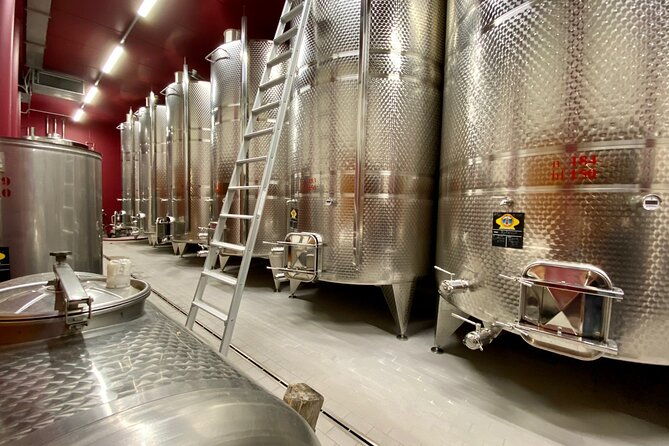 from-milan-to-venice-through-the-amarone-region-lunch-verona