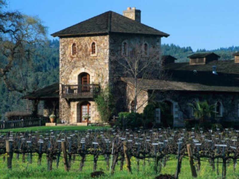 from-napa-wine-tasting-tour-with-benzigers-wine-wonderland