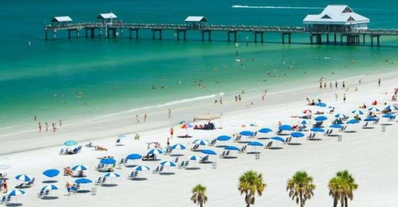 from-orlando-clearwater-beach-and-marine-aquarium-admission