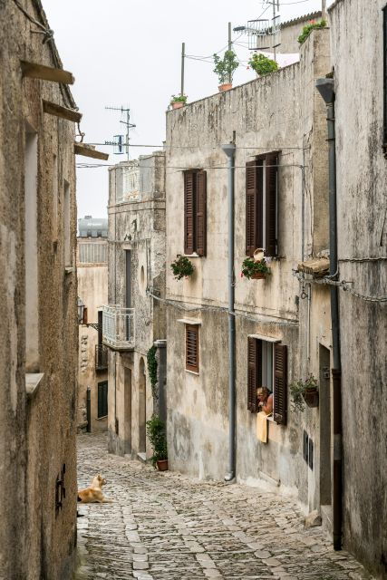 from-palermo-day-trip-to-erice-segesta-and-salt-pans