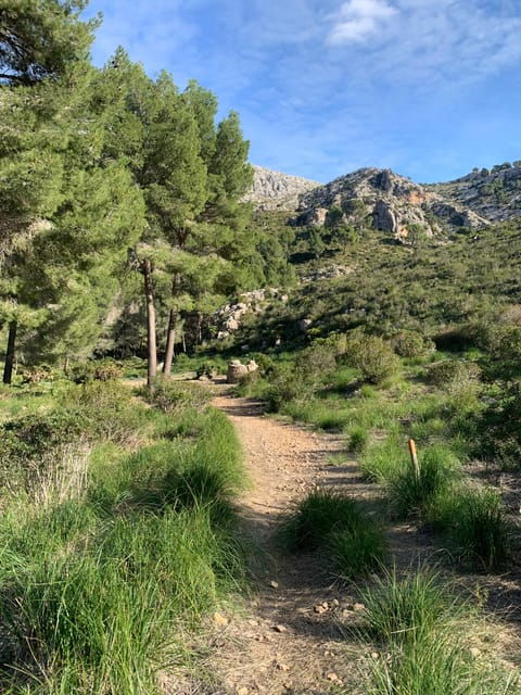 from-palma-sierra-de-tramuntana-hiking-with-small-picnic