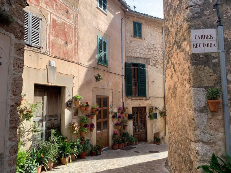 from-palma-valldemossa-tour-and-mountain-viewpoint-hike