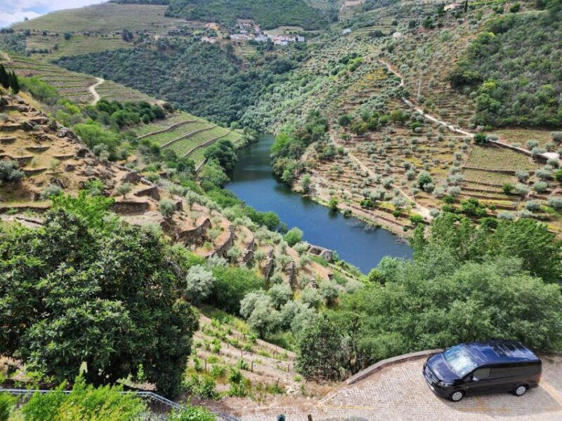 from-peso-da-regua-visit-3-wineries-tasting-and-viewpoint