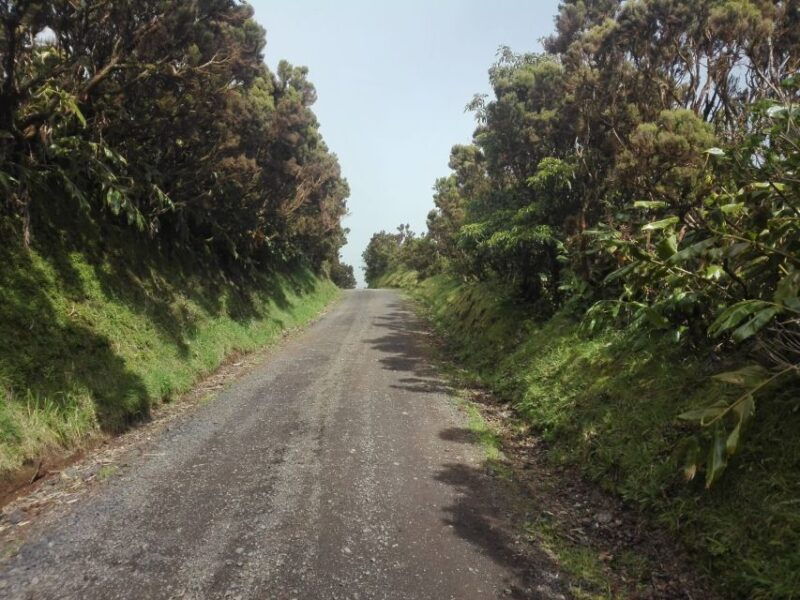 from-ponta-delgada-sete-cidades-walk-tasting-and-kayaking