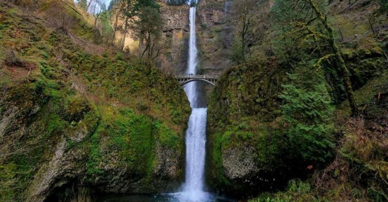 from-portland-half-day-columbia-river-gorge-waterfalls-tour