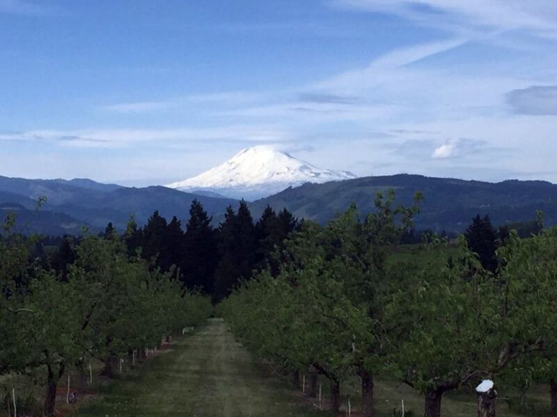 from-portland-mt-hood-hood-river-valley-and-columbia-gorge