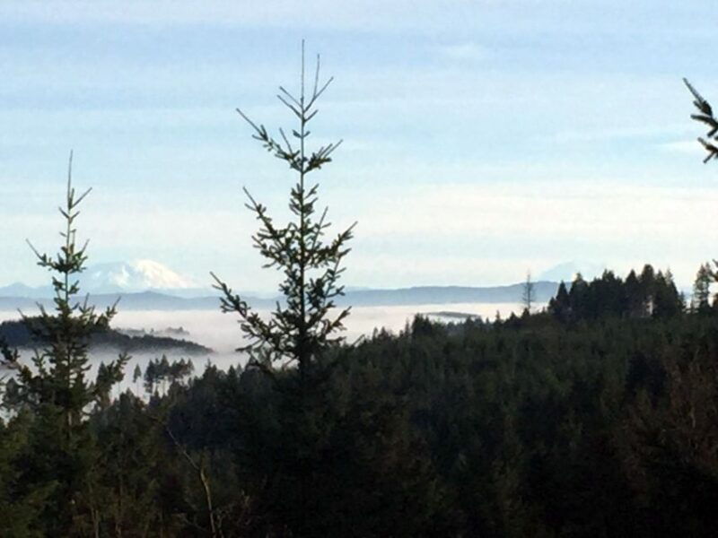 from-portland-oregon-coast-day-trip-cannon-beach-area