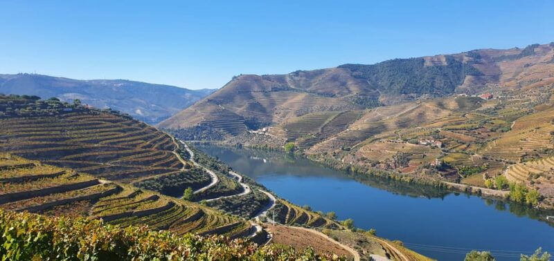 from-porto-day-douro-valley-wine-tour-2-wine-tasting-lunch