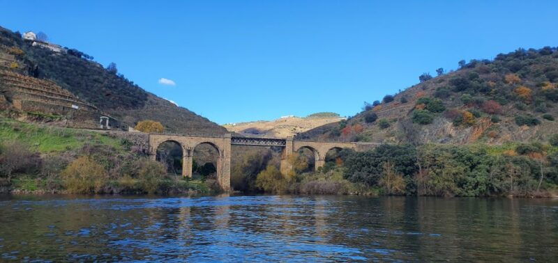from-porto-day-douro-valley-wine-tour-2-wineries-lunch