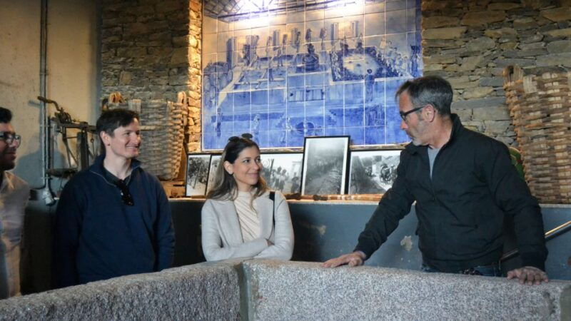 from-porto-douro-valley-tour-with-tastings-boat-lunch