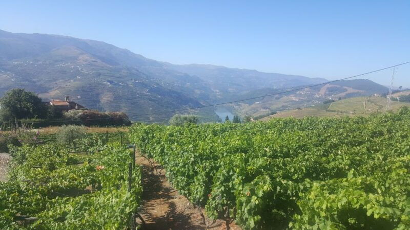 from-porto-private-douro-valley-tour-with-booking-service