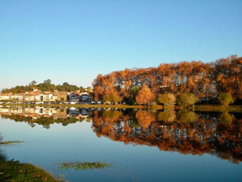 from-porto-viana-castelo-and-ponte-lima-private-tour