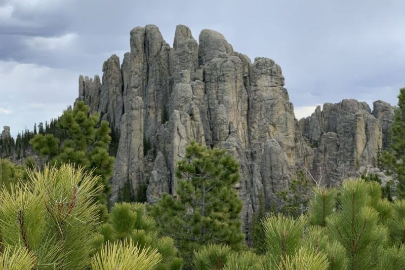 from-rapid-city-custer-state-park-private-safari-and-hiking