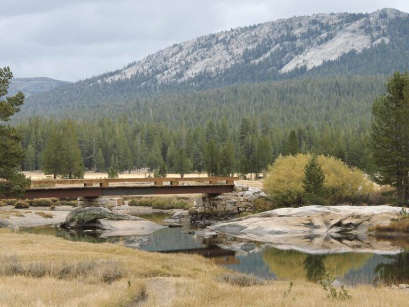 from-san-francisco-yosemite-national-park-private-day-tour