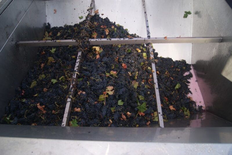 from-san-sebastian-bilbao-vitoria-la-rioja-wineries-tour