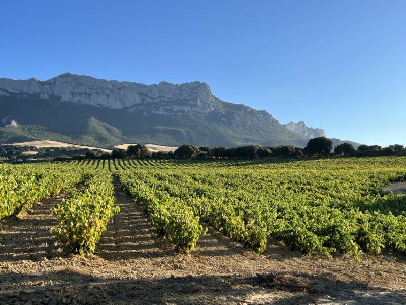 from-san-sebastian-rioja-private-day-trip-with-wine-tasting