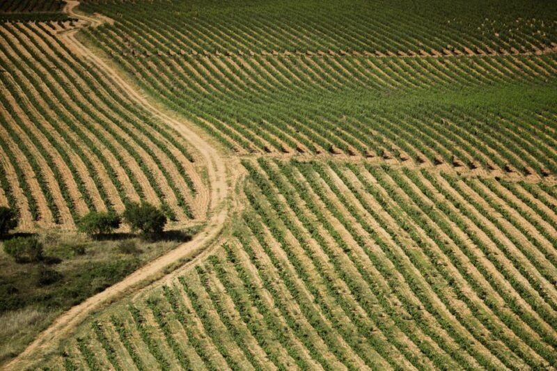 from-san-sebastian-rioja-uncorked-private-wineries-trip
