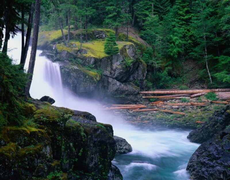 from-seattle-mount-rainier-national-park-guided-tour