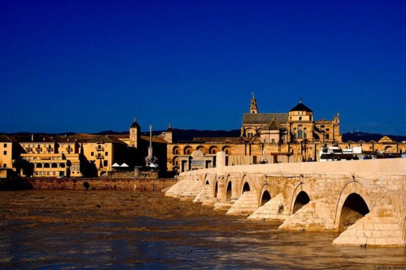 from-seville-cordoba-full-day-tour-with-tickets-included