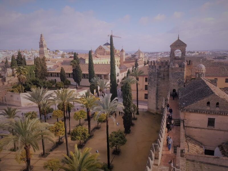from-seville-cordoba-the-mosque-and-carmona-day-trip