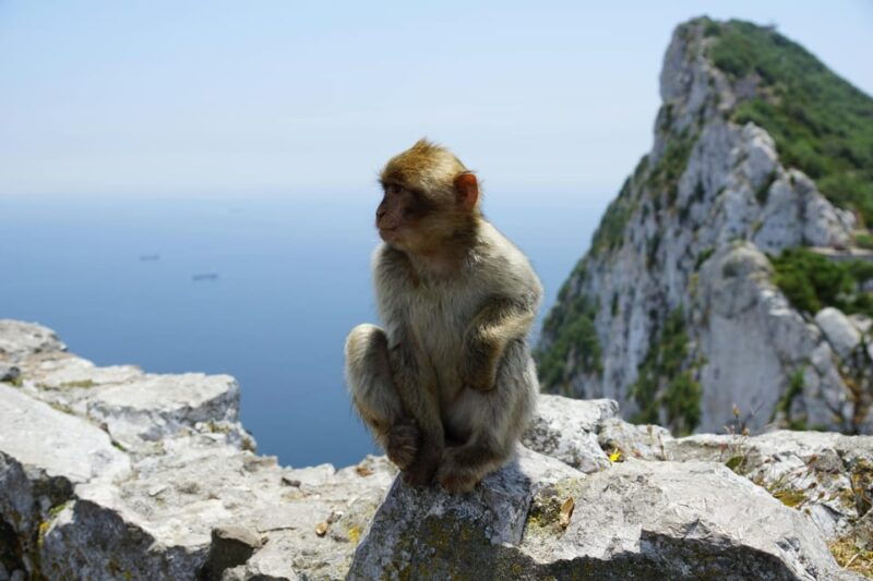 from-seville-gibraltar-and-tangier-2-day-trip-with-hotel