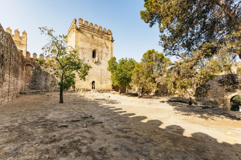 from-seville-pueblos-blancos-and-ronda-full-day-trip