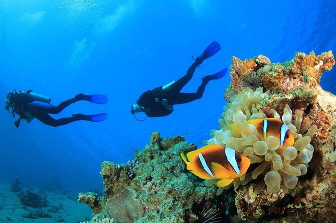 from-side-alanya-scuba-diving-with-2-time-dive-lunch