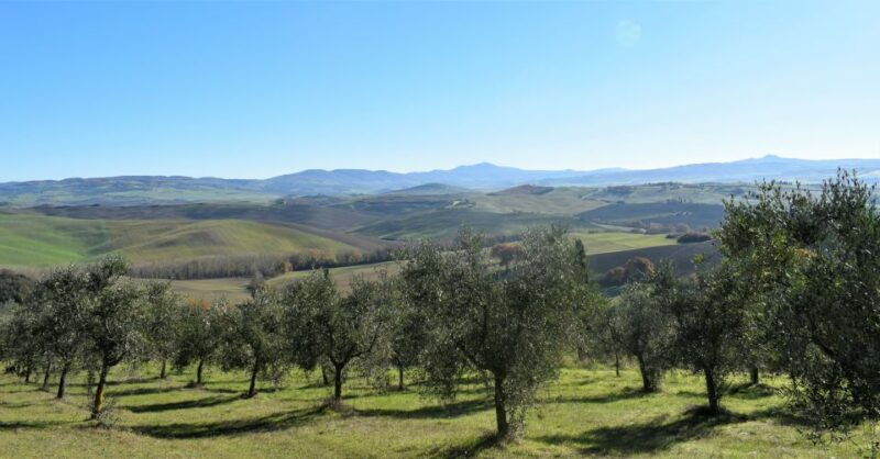 from-siena-chianti-countryside-e-bike-tour-w-lunch-wine