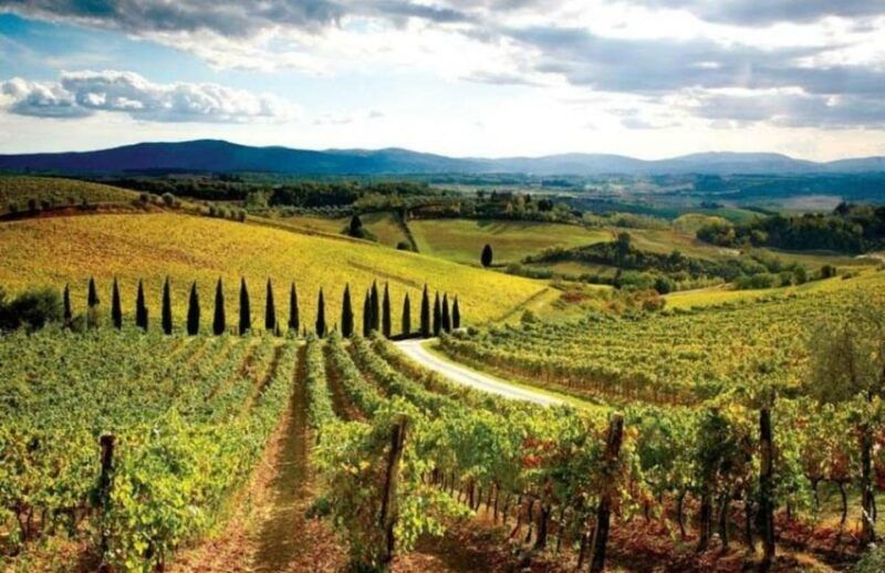 from-siena-san-gimignano-chianti-and-montalcino-day-trip