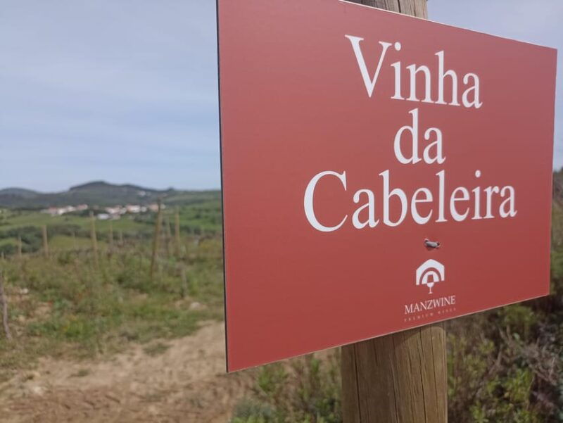 from-sintra-mafra-or-ericeira-hike-and-wine-tour