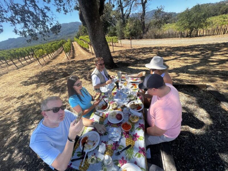 from-sonoma-napa-valley-classic-sidecar-tour-to-3-wineries