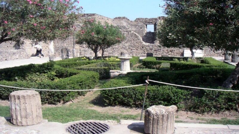 from-sorrento-pompeii-and-mount-vesuvius-tour
