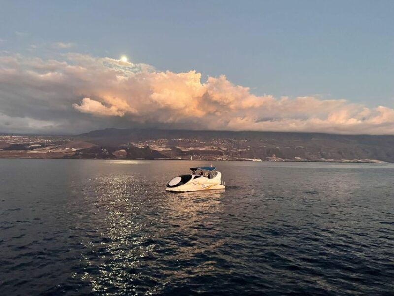 from-tazacorte-fast-yacht-tour-of-la-palma