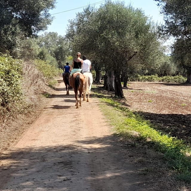 from-tropea-horseback-riding-tour-with-picnic-in-francica