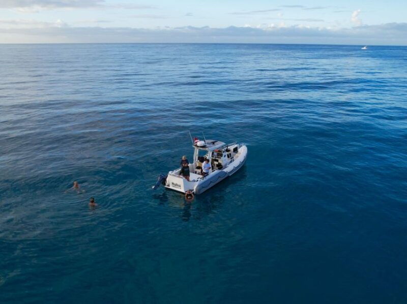 from-waikiki-turtle-canyon-snorkeling-tour