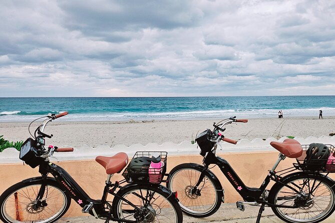 ft-lauderdale-brightline-train-to-palm-beach-4hr-ebike-rental