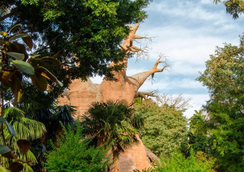 fuengirola-bioparc-entrance-ticket
