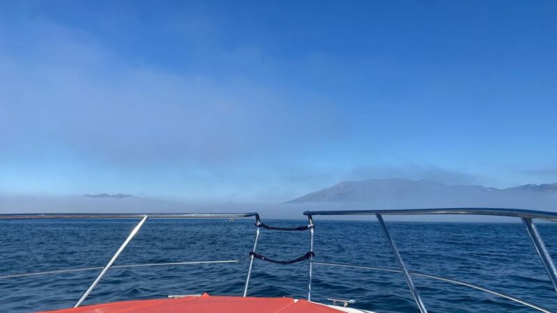 fuengirola-fantastic-dolphin-watching-yacht-tour-with-drink