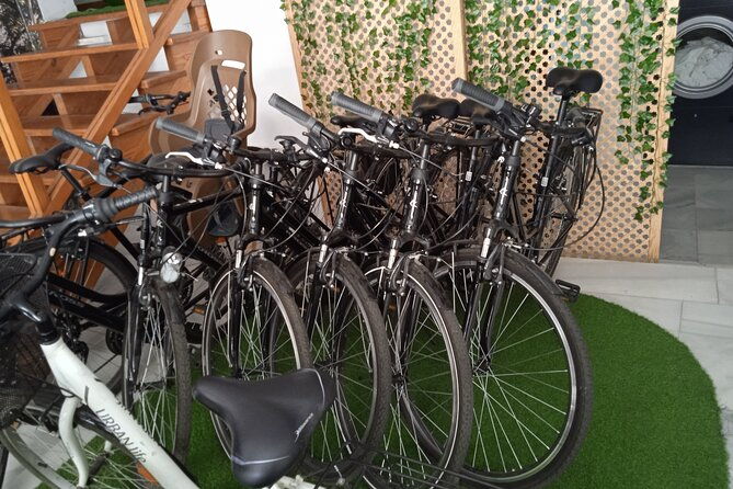 full-day-bike-rental-in-seville
