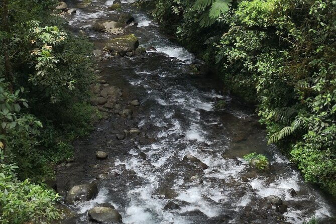 full-day-hiking-and-bird-watching-at-savegre-river-san-gerardo-near-to-san-jose