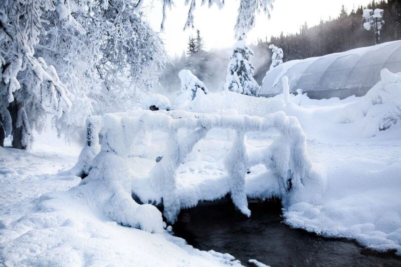 full-day-ice-museum-and-chena-hot-springs-tour