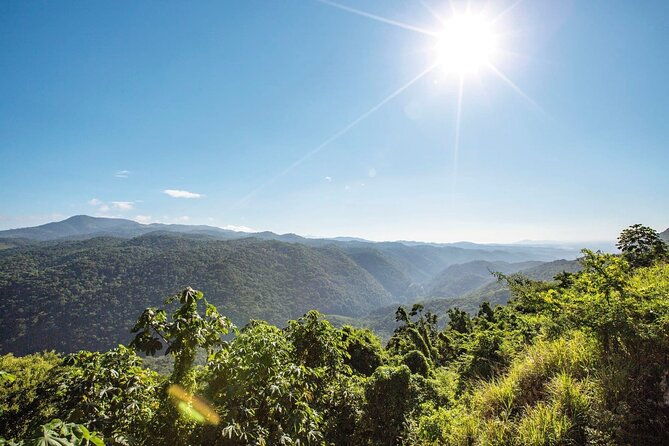 full-day-kingston-and-blue-mountains-private-guided-tour