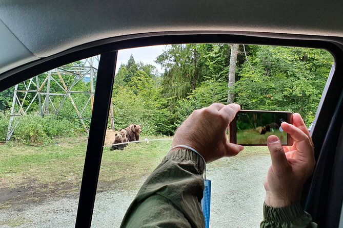 full-day-private-carpatian-garden-with-draculas-fortress-wild-brown-bears
