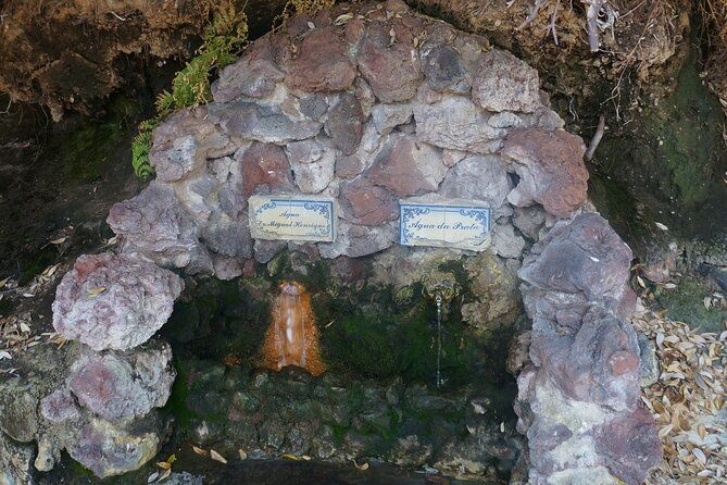 full-day-private-sao-miguel-tour-with-furnas-and-hot-springs