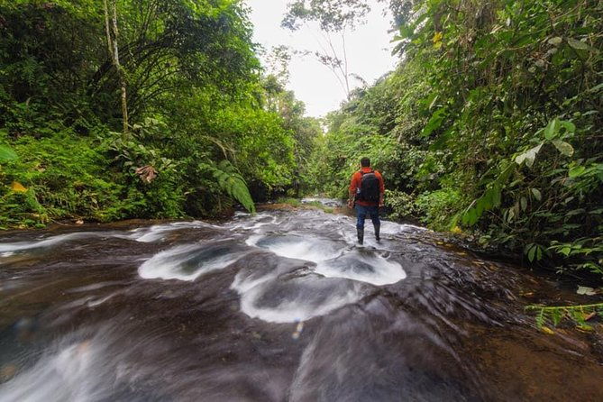 full-day-waterfalls-and-caverns-tour