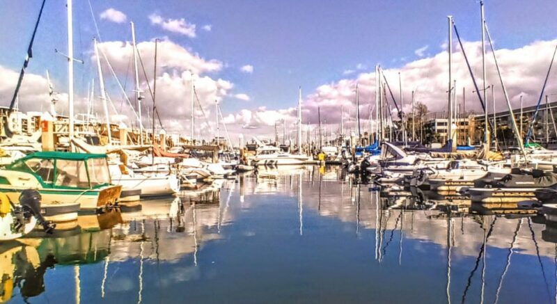 fun-adventure-party-boat-cruise-wine-charcuterie-sealions