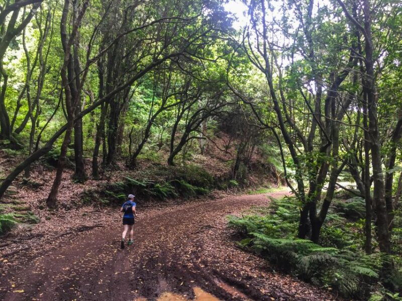 funchal-ocean-to-mountain-running-tour