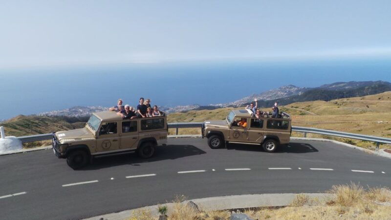 funchal-pico-arieiro-cristo-rei-and-dolphins-watching