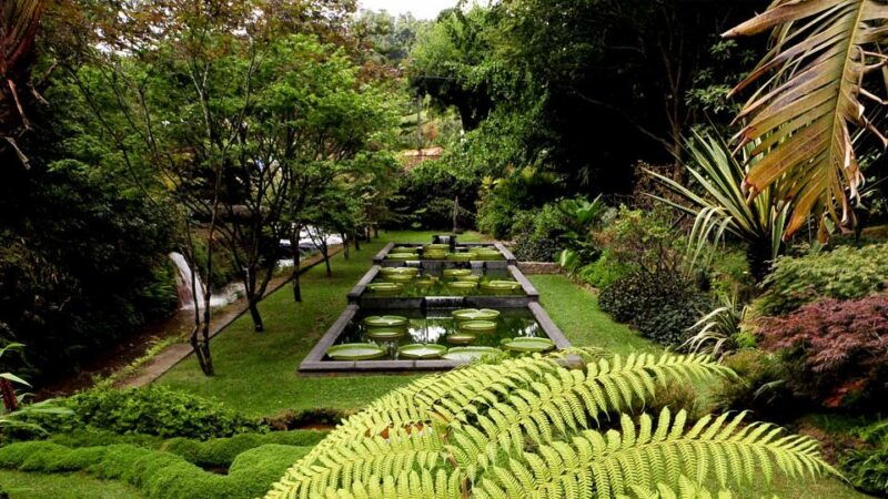 furnas-terra-nostra-botanic-park-guided-tour-w-hotsprings